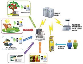 物联网在不同行业应用 防伪 食品安全